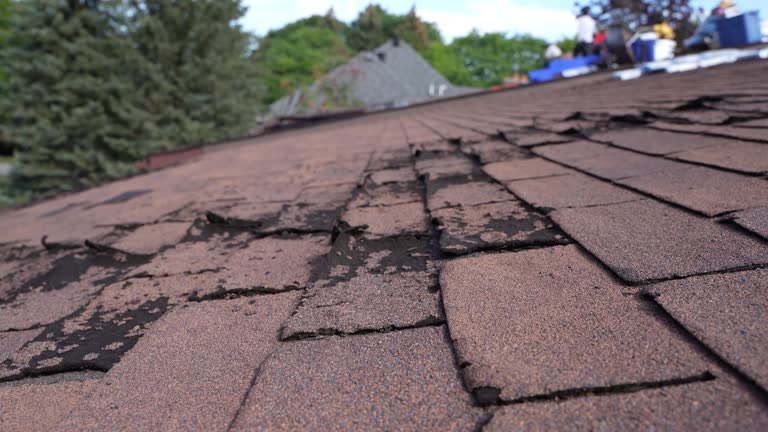 Best Metal Roofing Installation  in Norwalk, OH